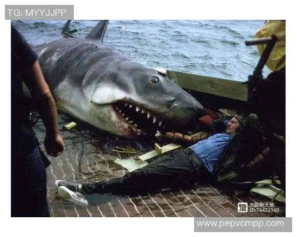 广州极限运动队心理素质引发热议运动员心理承受能力的挑战与反思